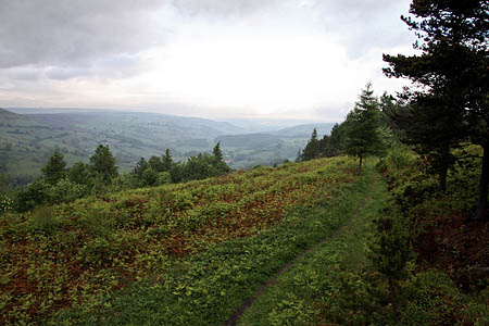 Newgate Bank, scene of the search. Photo: Steve Daniels CC-BY-SA-2.0