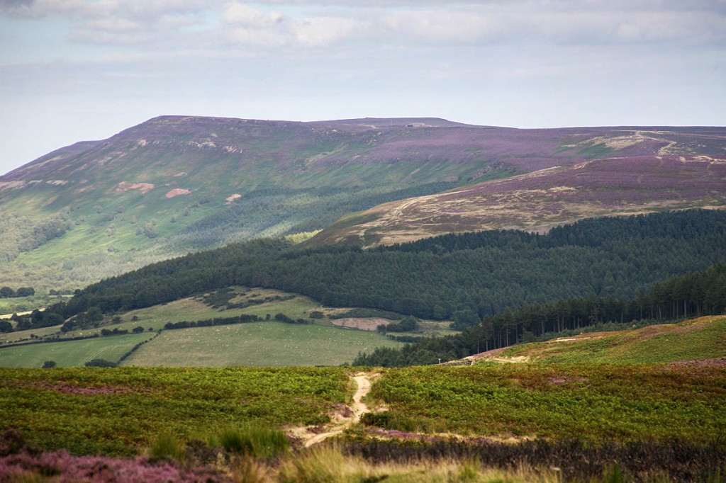 The recent high temperatures have created a wildfire risk on the North York Moors