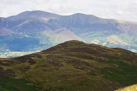 The team found the walker near Outerside The team found the walker near Outerside