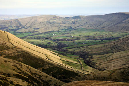 The Peak District should see more trees after the scheme to plant 500 won the vote
