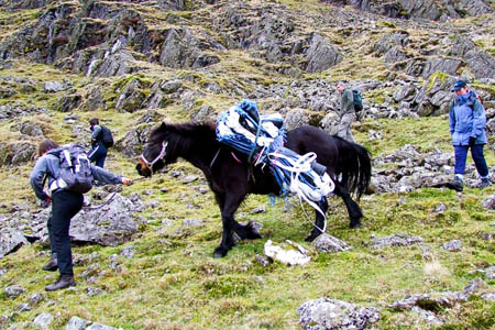 Fell pony Solo carrying heli-bags for the Fix the Fells project