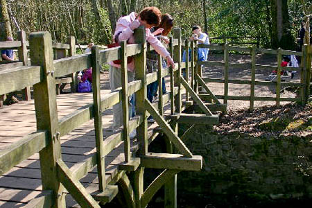 Poohsticks Bridge, Ashdown Forest. Photo: David Brooker CC-BY-SA-2.0