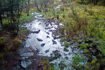 A boggy section of the route before restoration work. Photo: Snowdonia National Park Authority A boggy section of the route before restoration work. Photo: Snowdonia National Park Authority