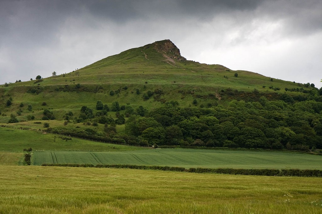 The woman injured herself on Roseberry Topping