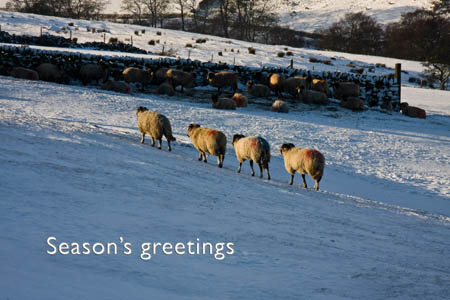 Merry Christmas from all the team at grough Merry Christmas from all the team at grough