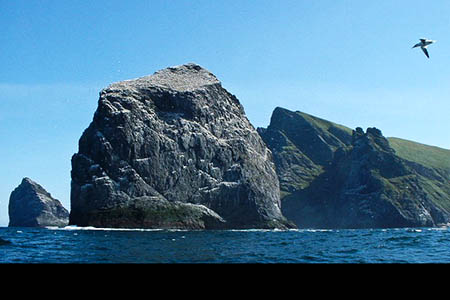 Stac Lee, Rob Woodall's final marilyn, with Stac an Armin to the left and Boreray on the right. Photo: Russel Wills CC-BY-SA-2.0