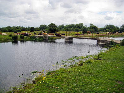 Staines Moor. Photo: Nigel Cox CC-BY-SA-2.0