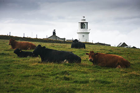 The woman broke her ankle on the path near St Bees Head lighthouse The woman broke her ankle on the path near St Bees Head lighthouse