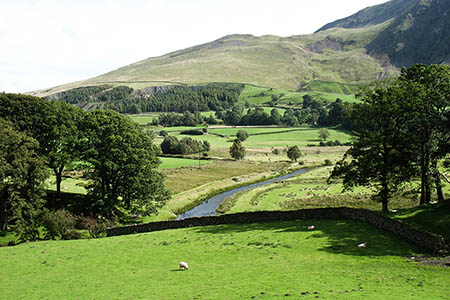 The walker fell from a path above St John's Beck. Photo: David Purchase CC-BY-SA-2.0 The walker fell from a path above St John's Beck. Photo: David Purchase CC-BY-SA-2.0