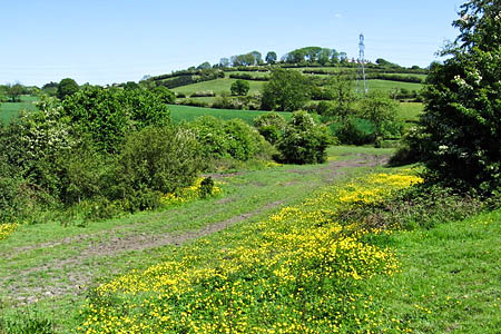 Strawberry Bank, which once claimed the title of Nottinghamshire's high point. Photo: Dave Bevis CC-BY-SA-2.0 