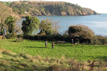 Sugary Green Sugary Green