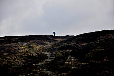 A runner on The Spine this year. Photo: Solveig Rist A runner on The Spine this year. Photo: Solveig Rist