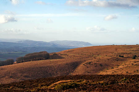 Thorncombe Hill, one of the areas that will be sold off. Photo: Martin Bodman CC-BY-SA-2.0 Thorncombe Hill, one of the areas that will be sold off. Photo: Martin Bodman CC-BY-SA-2.0