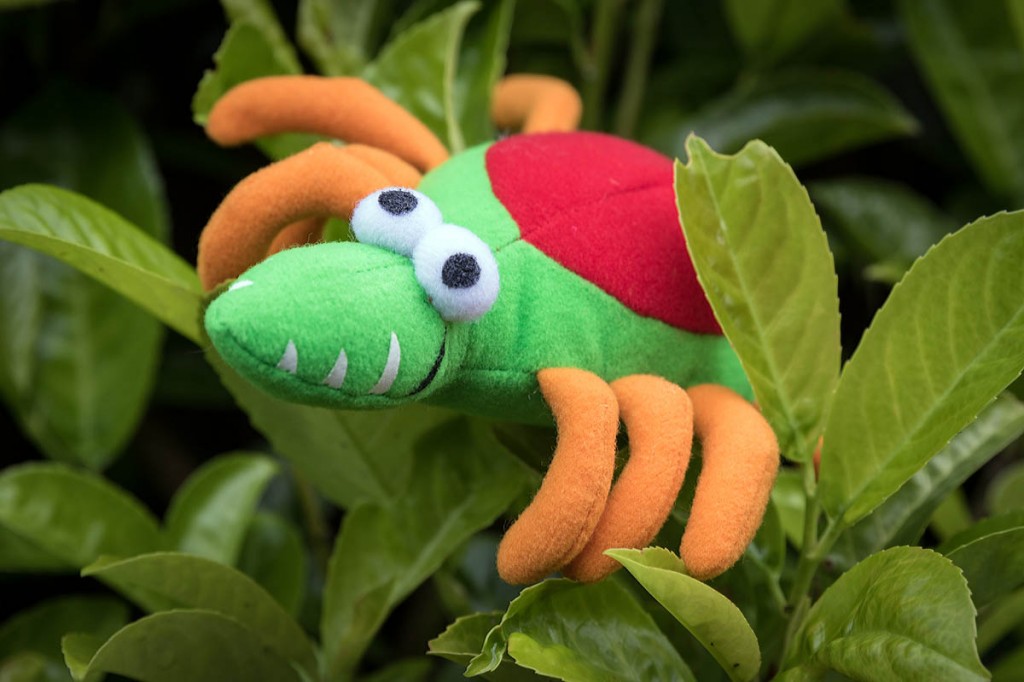 Real-life ticks are not so cute. Photo: Bob Smith/grough Real-life ticks are not so cute. Photo: Bob Smith/grough