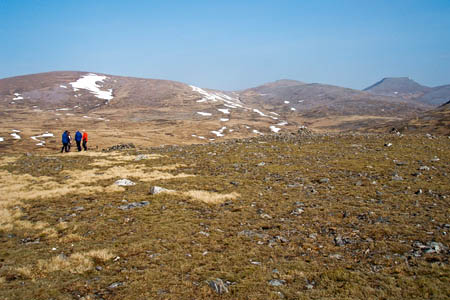 The summit plateau of Tom Dubh The summit plateau of Tom Dubh