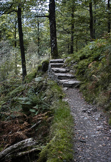 The woman was walking in Tom Ghyll, near Tarn Hows. Photo: Tom Richardson CC-BY-SA-2.0 The woman was walking in Tom Ghyll, near Tarn Hows. Photo: Tom Richardson CC-BY-SA-2.0