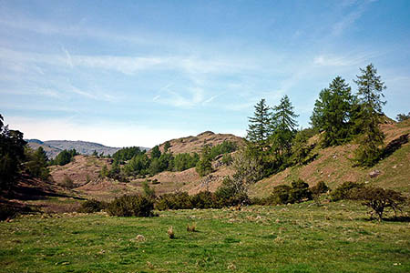 The woman was injured in the Tover Intake area. Photo: Karl and Ali CC-BY-SA-2.0