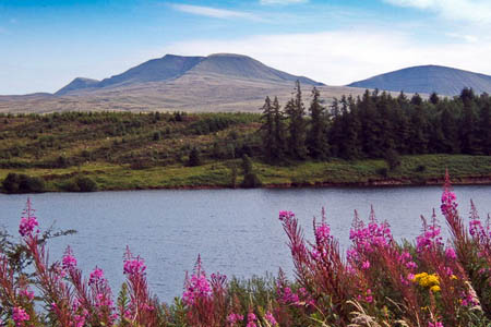 Usk Reservoir, scene of Friday's rescue. Photo: Andrew Hill CC-BY-SA-2.0