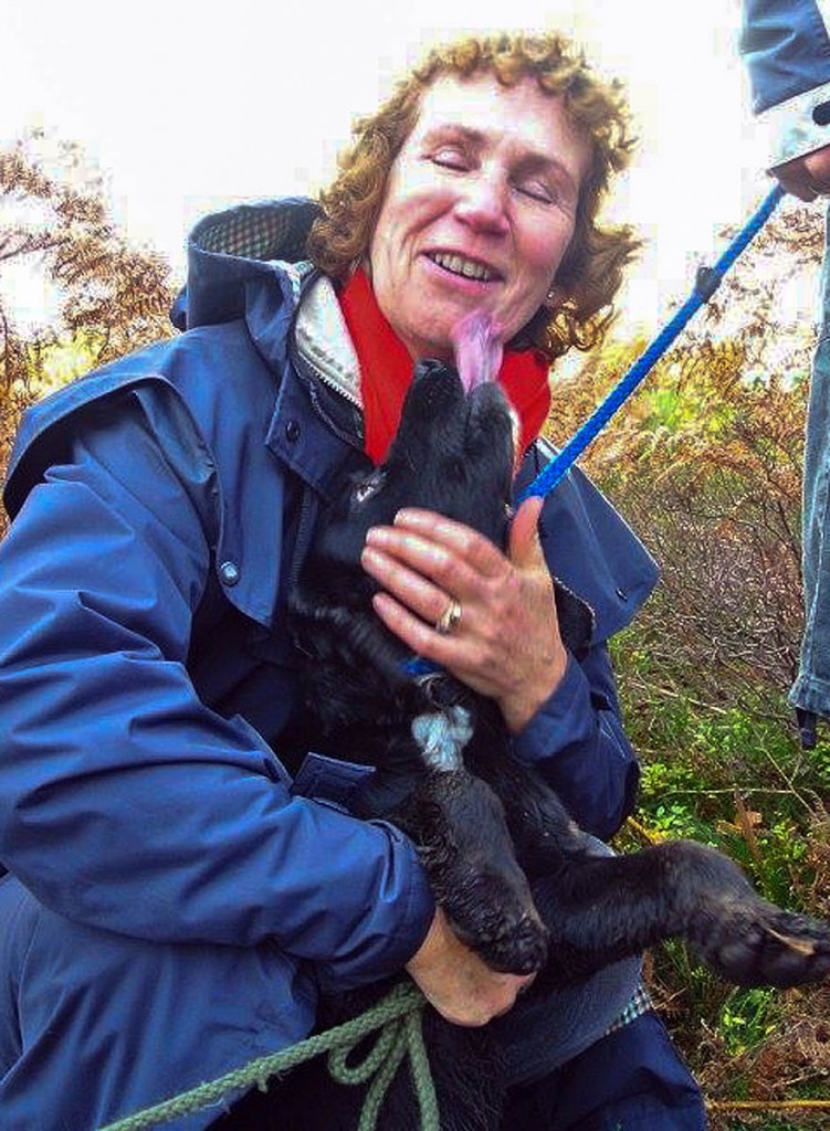 Paddy is reunited with his owner. Photo: Derek Hammond/UWFRA Paddy is reunited with his owner. Photo: Derek Hammond/UWFRA