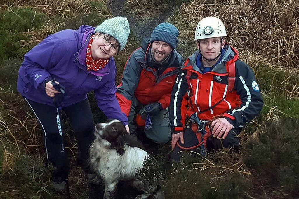 Chubbs is reuntied with its owner. Photo: UWFRA