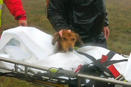 Wufra is stretchered from Buckden Pike. Photo: UWFRA