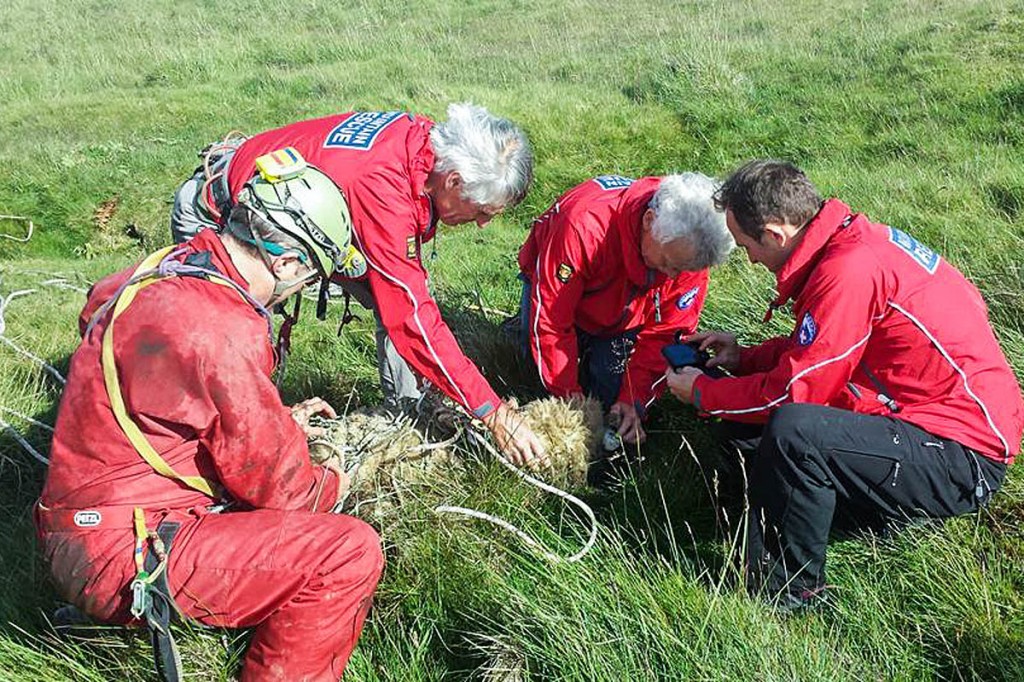Upper Wharfedale FRA members with the rescued sheep on Hawkswick Clowder. Photo: UWFRA Upper Wharfedale FRA members with the rescued sheep on Hawkswick Clowder. Photo: UWFRA