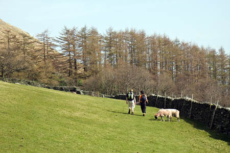 The 'refreshed' code has updated advice for visitors to the countryside The 'refreshed' code has updated advice for visitors to the countryside