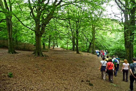 The risk of disease spread from walkers is small. Photo: Christine Johnstone CC-BY-SA-2.0 The risk of disease spread from walkers is small. Photo: Christine Johnstone CC-BY-SA-2.0