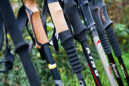 We tested seven models of walking poles We tested seven models of walking poles