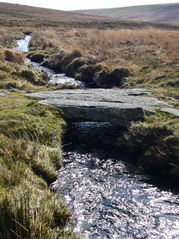 Walla Brook was four times its normal width when Charlotte fell in