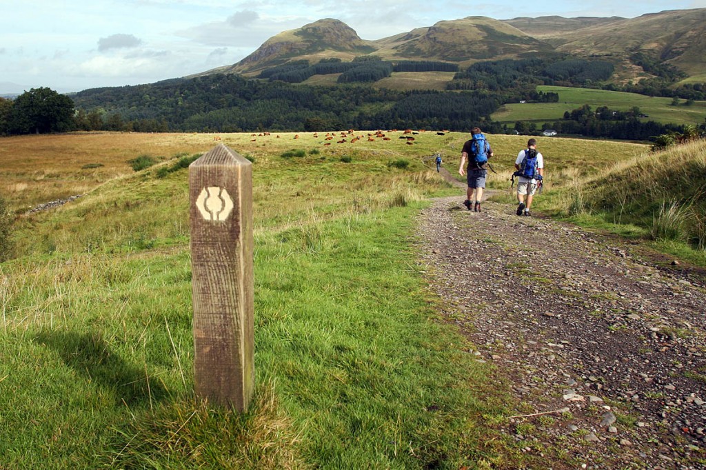 The plan is to invest £25m over the next five years to extend the existing network The plan is to invest £25m over the next five years to extend the existing network