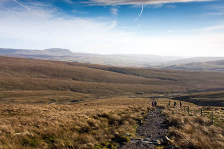 The path on Force Gill Ridge, on the flank of Whernside The path on Force Gill Ridge, on the flank of Whernside
