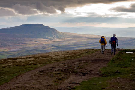 A regular brisk walk can boost the body's immune system, the professor found A regular brisk walk can boost the body's immune system, the professor found