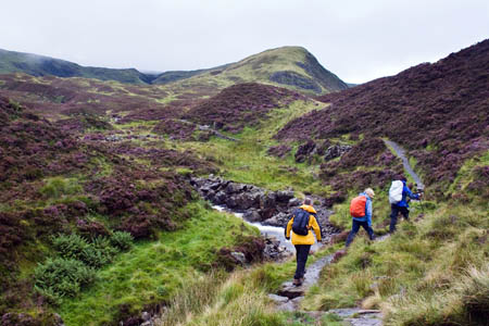 Walkers on the Grey Mare's Tail estate near White Coomb Walkers on the Grey Mare's Tail estate near White Coomb