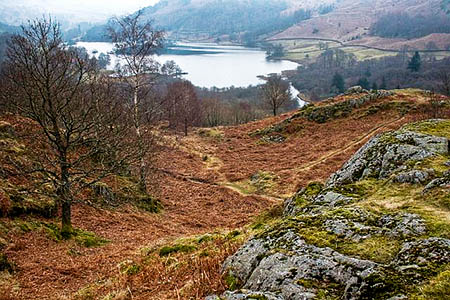 White Moss Common. Photo: Mick Garratt CC-BY-SA-2.0