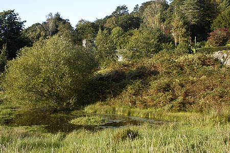 White Moss Common is close to Dove Cottage. Photo: Tom Richardson CC-BY-SA-2.0 White Moss Common is close to Dove Cottage. Photo: Tom Richardson CC-BY-SA-2.0