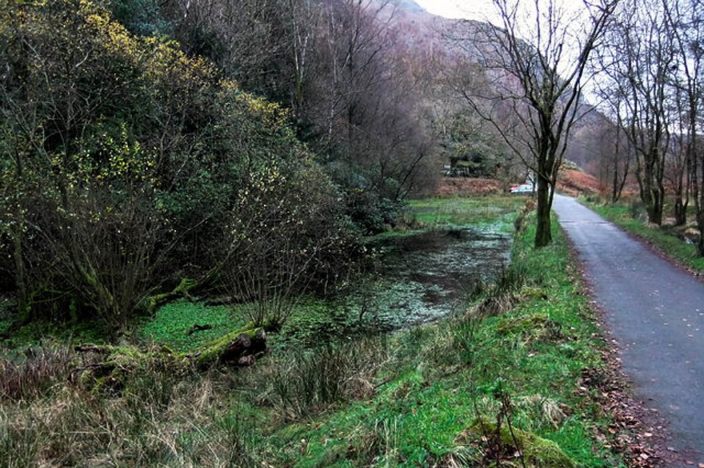 White Moss is common land. Photo: David Brown CC-BY-SA-2.0