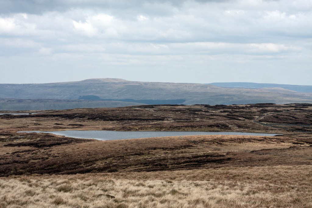 Investigators set up covert cameras on Widdale Fell. Photo: Bob Smith/grough