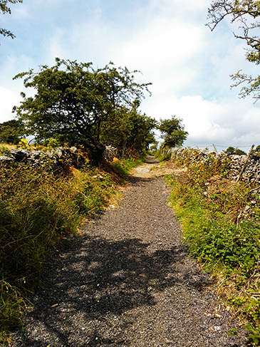 Wigley Lane. Photo: Cotic Wigley Lane. Photo: Cotic
