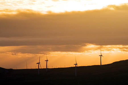 Wind turbine subsidies are 'irresistible' Wind turbine subsidies are 'irresistible'