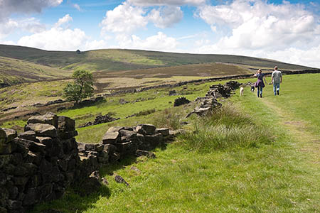 Much of the UK was blessed with fine, warm weather earlier in the summer Much of the UK was blessed with fine, warm weather earlier in the summer