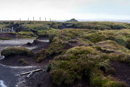 The peat bogs on the summit of the Bowland fells, close to where the body was discovered The peat bogs on the summit of the Bowland fells, close to where the body was discovered