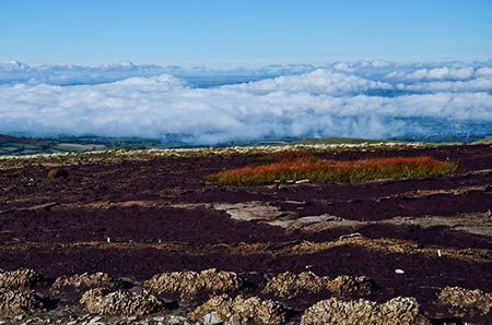 The Woollenlines project is helping to restore a damaged peat area The Woollenlines project is helping to restore a damaged peat area
